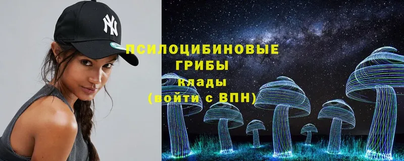 купить наркотики цена  Катайск  hydra ТОР  Псилоцибиновые грибы Psilocybe 